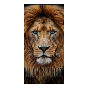 Majestic Lion Face with Blue Eyes Wildlife Anima Poster