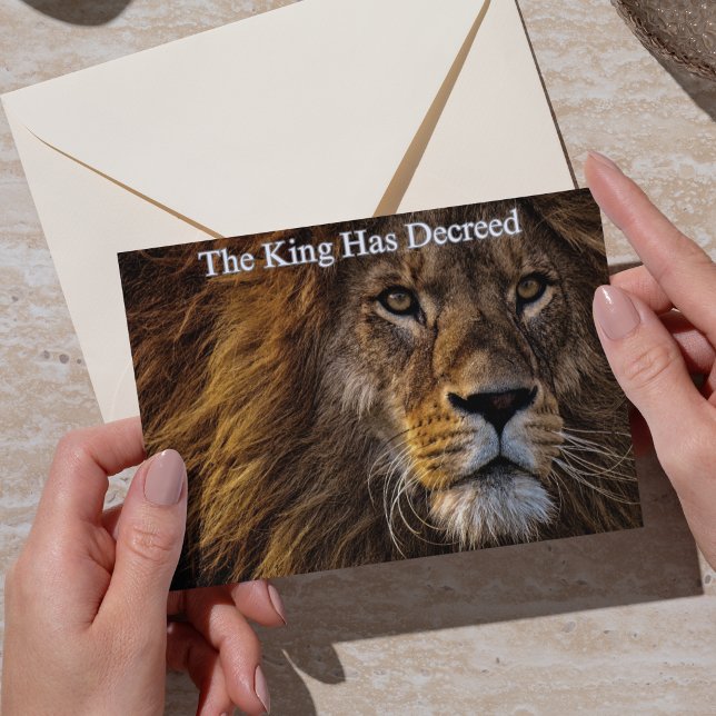 Majestic Lion Funny Birthday Card (Majestic Lion Funny Birthday Greeting)
