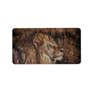 Majestic Lion Label
