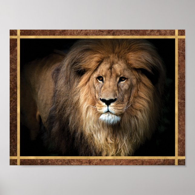Majestic Lion Photo Poster (Front)