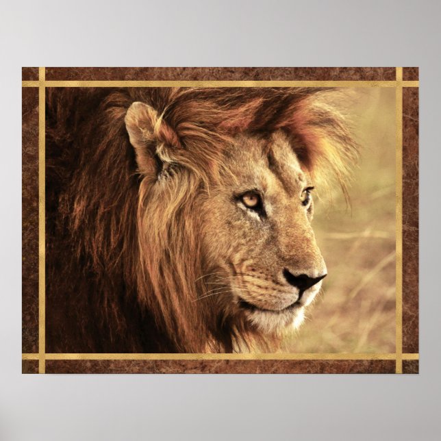 Majestic Lion Sideway Photo Poster (Front)