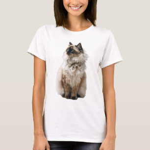 Majestic Long-Haired Siamese Cat with Elegant T-Shirt