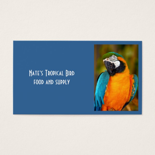 Majestic Macaw (Front)