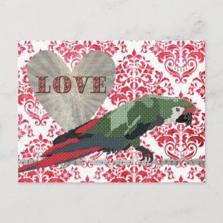 Majestic Macaw Love Damask  Postcard