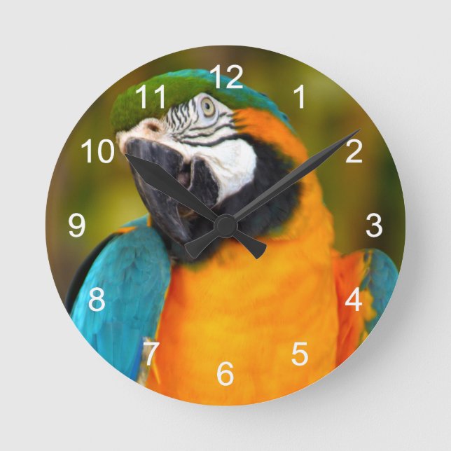 Majestic Macaw Round Clock (Front)