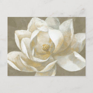 Majestic Magnolia Postcard