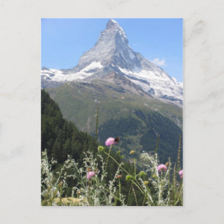 Majestic Matterhorn Mountain Postcard