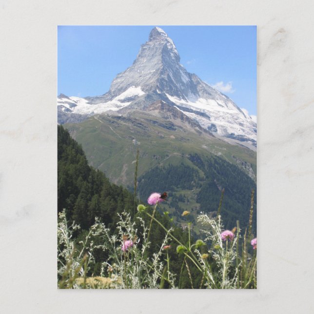 Majestic Matterhorn Mountain Postcard (Front)