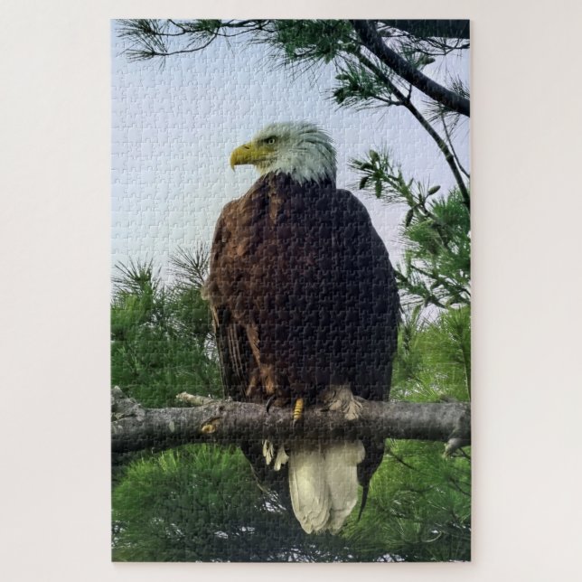 Majestic Mature Bald Eagle Perched in Tree Jigsaw  Puzzle (Vertical)