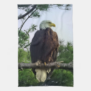 Majestic Mature Bald Eagle Perched in Tree Tea Towel