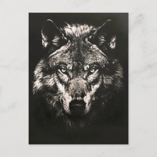 Majestic Monochrome Wild Wolf Announcement Postcard