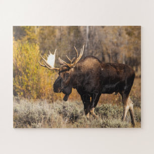 Majestic Moose In The Wild Photo Jigsaw Puzzle
