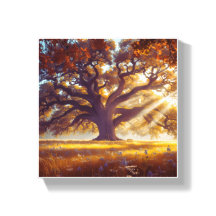 Majestic Oak in the Meadow