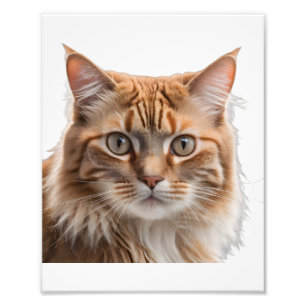 Majestic Orange Tabby Cat Portrait Photo Print