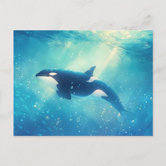 Majestic Orca Sunlit Ocean Postcard (Front)