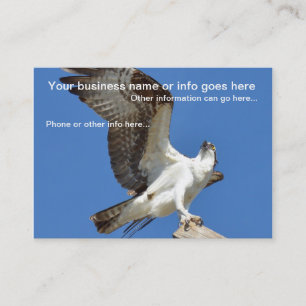 Majestic Osprey bird Business Cards