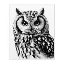 Majestic Owl 16x20" Large Acrylic Wall Art Print