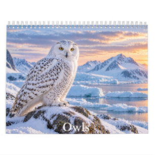 Majestic Owls Scenic Wildlife Calendar