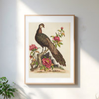 Majestic Peacock bird Floral Vintage Illustration