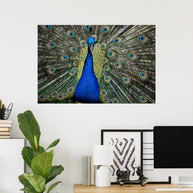 Majestic Peacock Poster (Home Office)