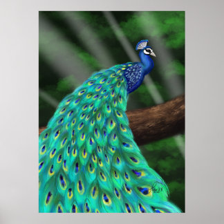 Majestic Plumage: Enchanting Peacock in the Forest Poster