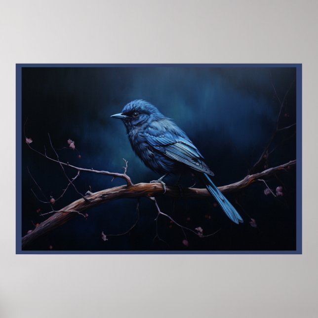 Majestic Plumage poster (Front)