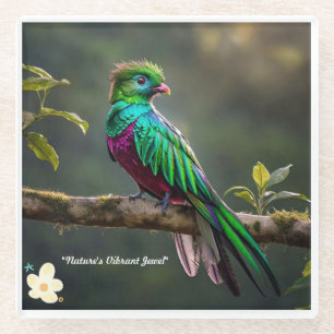 "Majestic Quetzal" Glass Coaster