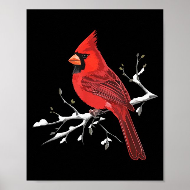 Majestic Red Cardinal Birdwatching Birdwatcher Bir Poster (Front)