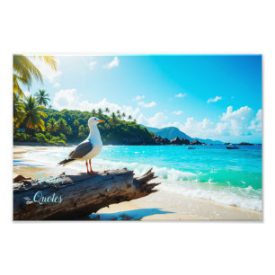 Majestic Seagull on Tropical Beach Photo Print