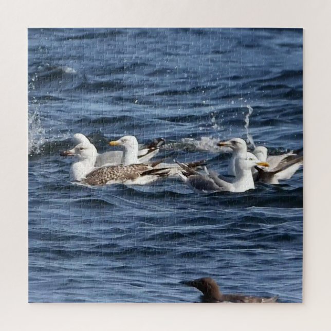 Majestic Seagulls Hunting Sand Eels Over Ocean Art Jigsaw Puzzle (Vertical)
