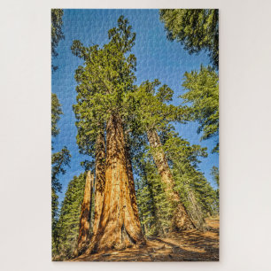 Majestic Sequoia Trees Jigsaw Puzzle