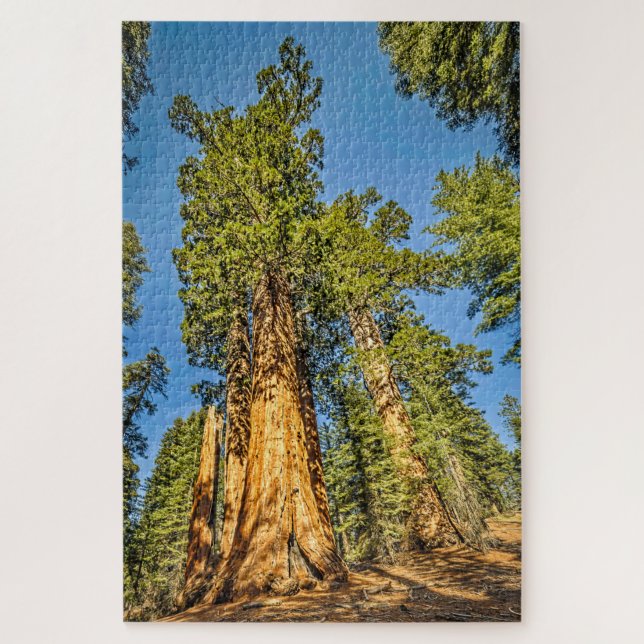 Majestic Sequoia Trees Jigsaw Puzzle (Vertical)