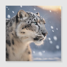 Majestic snow leopard heart of the winter storm