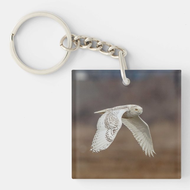 Majestic Snowy Owl of the Connecticut Coast Key Ring (Front)