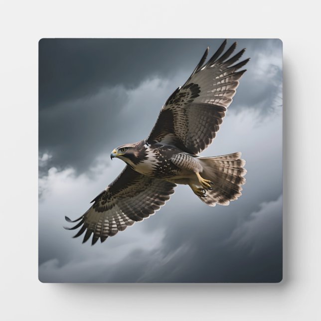 Majestic Soaring Hawk Storm Clouds Plaque (Front)