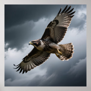 Majestic Soaring Hawk Storm Clouds Poster