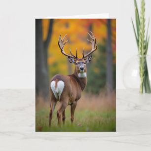 Majestic Stag Birthday Card