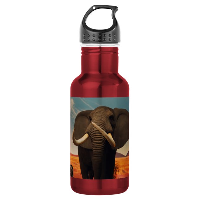 Majestic Stature Aluminium Water Bottle (Front)