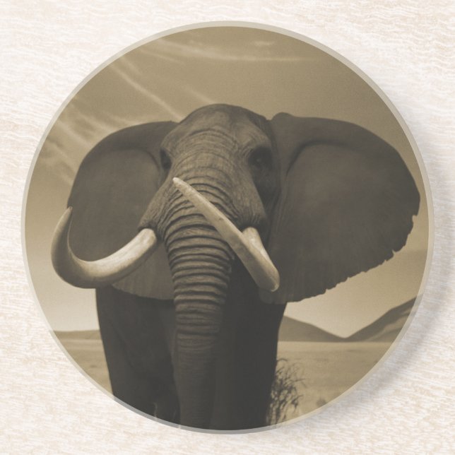 Majestic Stature Coaster (Front)