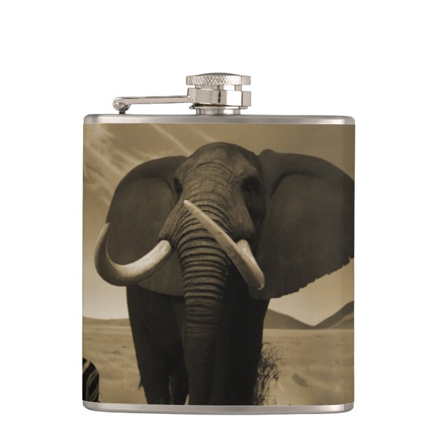 Majestic Stature Hip Flask (Front)