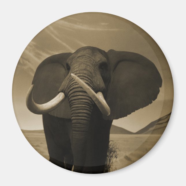 Majestic Stature Magnet (Front)