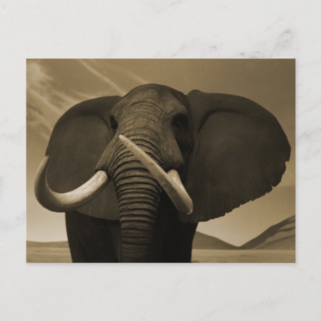 Majestic Stature Postcard (Front)