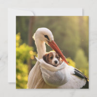 Majestic Stork Delivers New Puppy Golden Hour Art