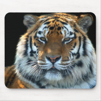 Majestic Sumatran Tiger Mouse Pad