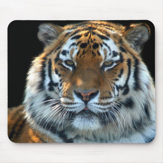 Majestic Sumatran Tiger Mouse Pad (Front)