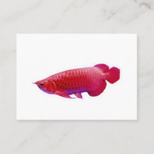 ​Majestic Super Red Arowana Lucky Dragon Fish Stic Business Card