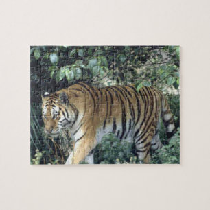 Majestic Tiger Jigsaw Puzzle