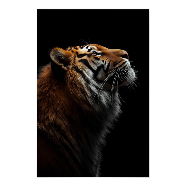 Majestic Tiger Portrait, Strength Royal Confidence Poster (Front)