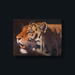 Majestic Tiger Small Canvas Print<br><div class="desc">Majestic Tiger from the original Oil on canvas by Sue Maas</div>