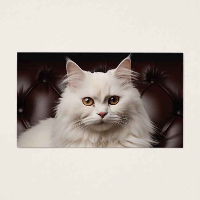 Majestic white cat (Front)
